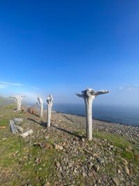 IJsland - Stronken in Fjord